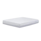 Protect-A-Bed® Box Spring Plus Encasement